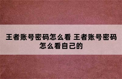 王者账号密码怎么看 王者账号密码怎么看自己的